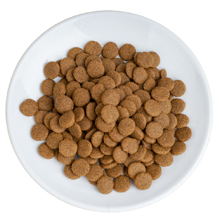 Petideal Pet Food(LuoHe) Co.,Ltd – colchoneta de yoga 4