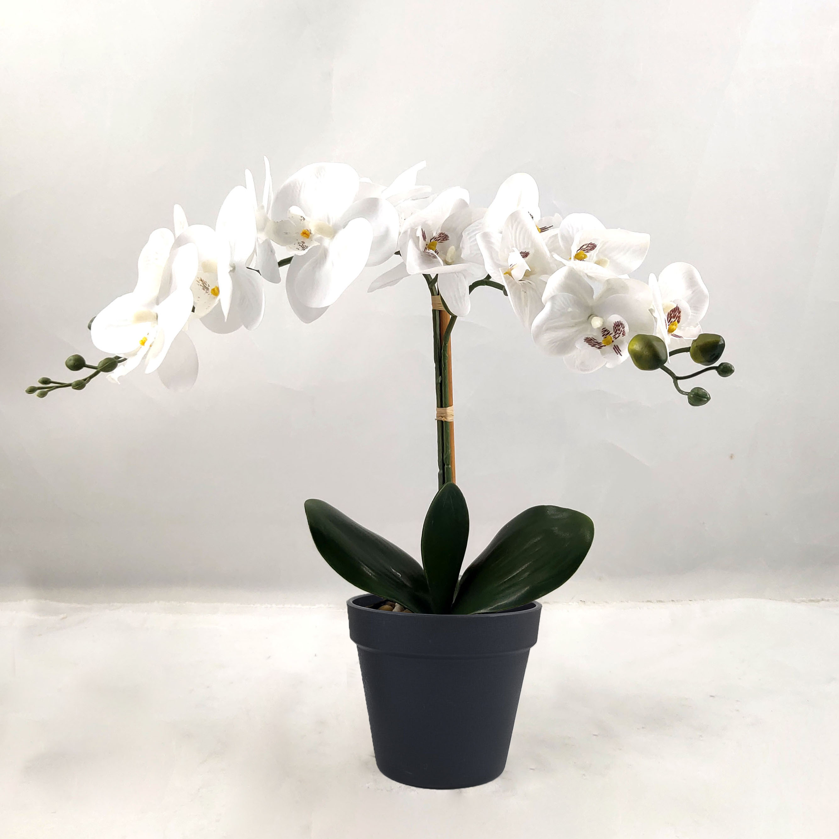 Butterfly Orchid - Simulated Potted Home Decoration