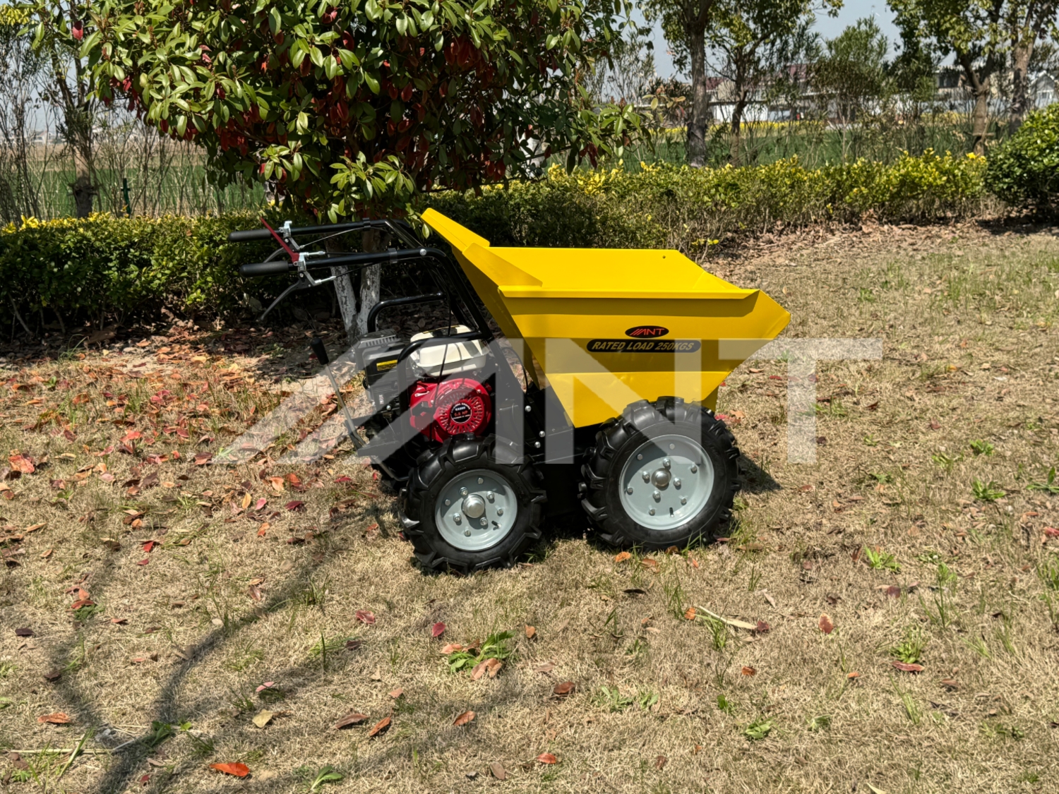 ANT 250 kg load capacity small and lightweight power barrow