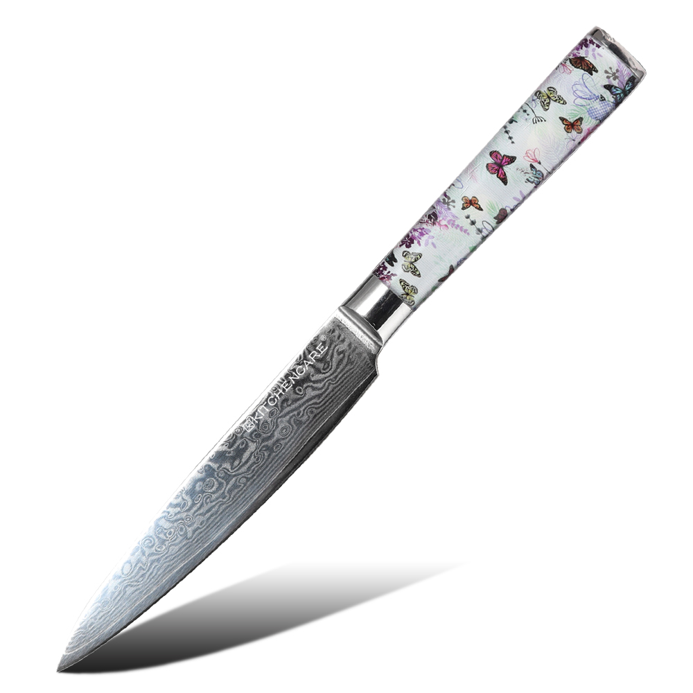 Hip-home Damascus steel kitchen knife professional acrylic handle utility knife