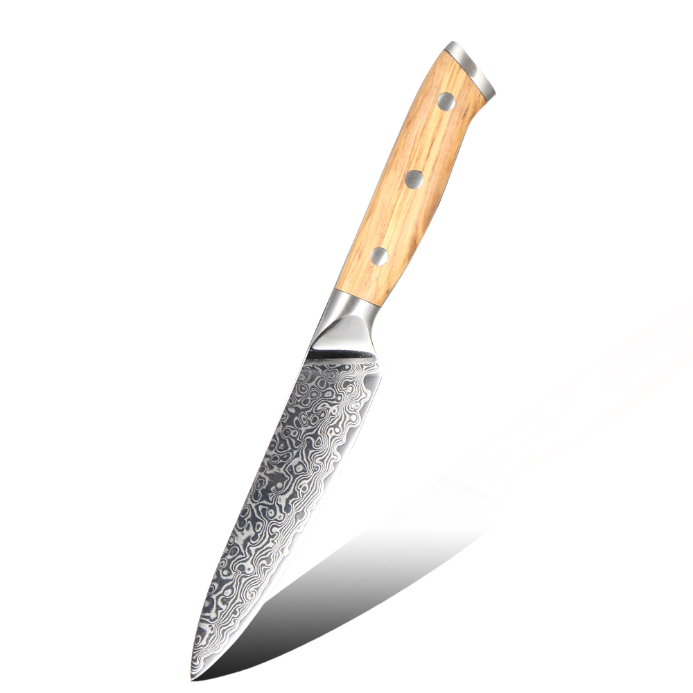 Hip-home Damascus steel kitchen knife professional damask utility knife