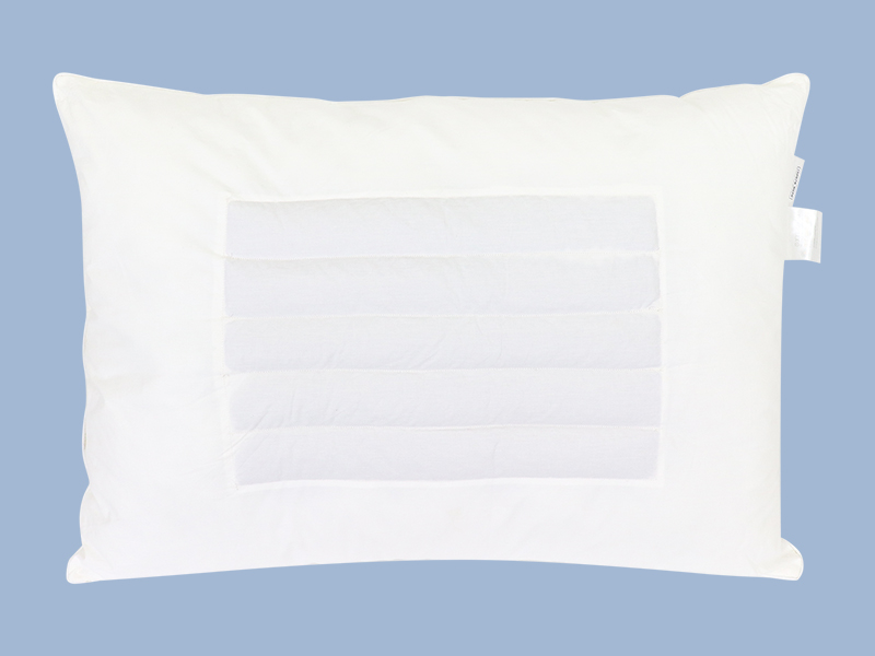 Buckwheat Pillow