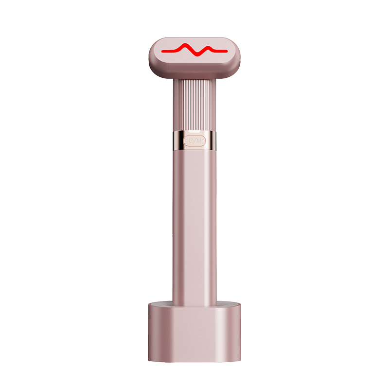 Ems Facial Beauty Device