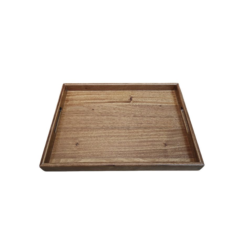 Food Serving Tray with handle