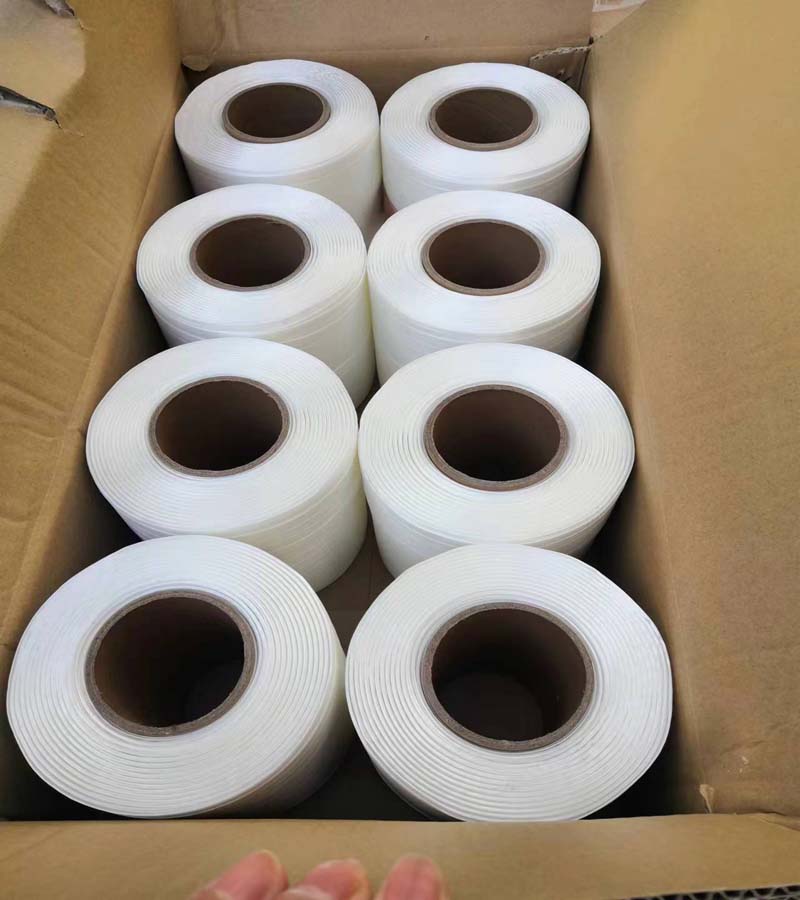 Packing Strap