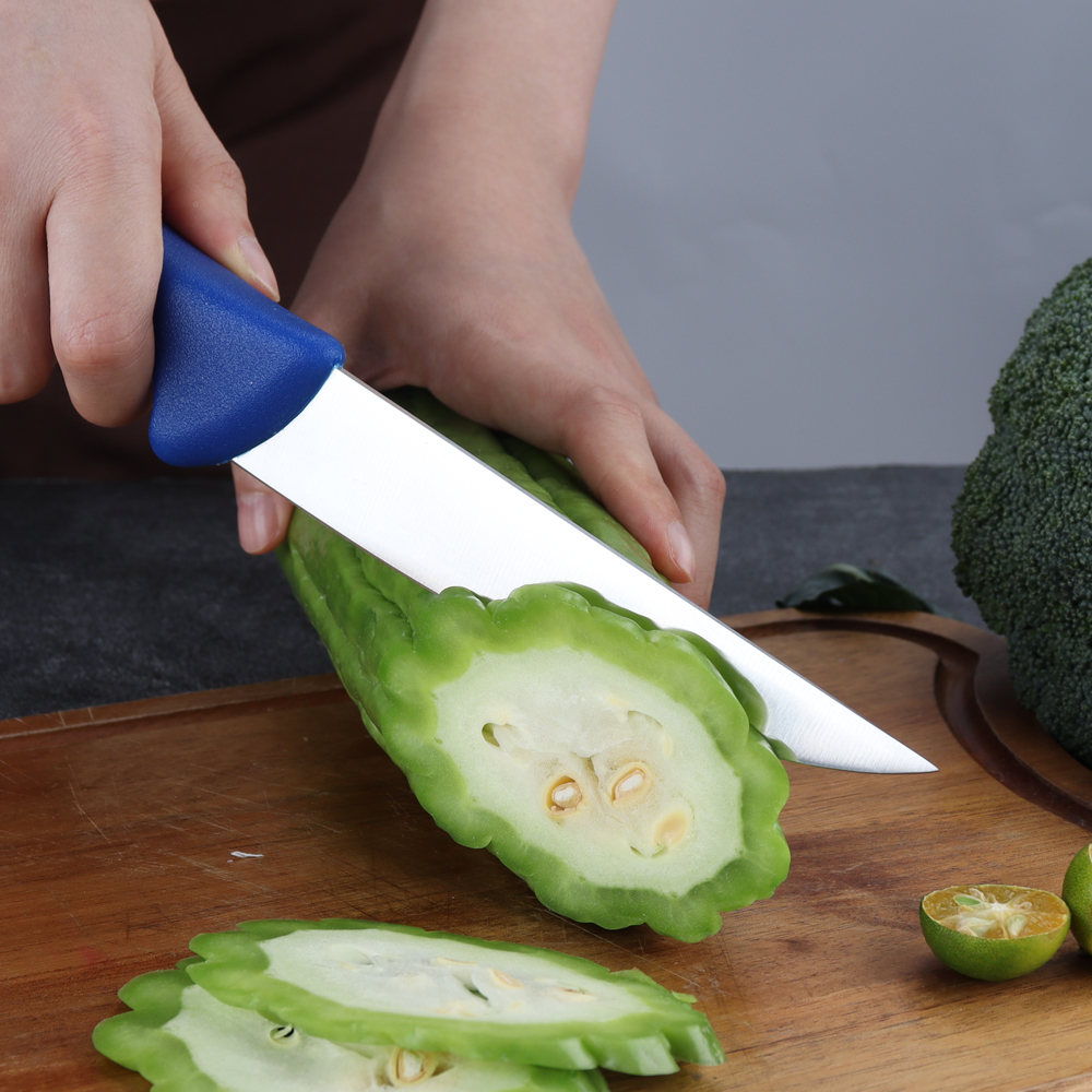 Hip-home custom stainless steel kitchen knife professional blue PP 6inch butcher knife