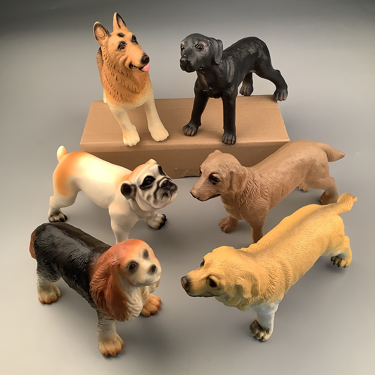 Dog Animals