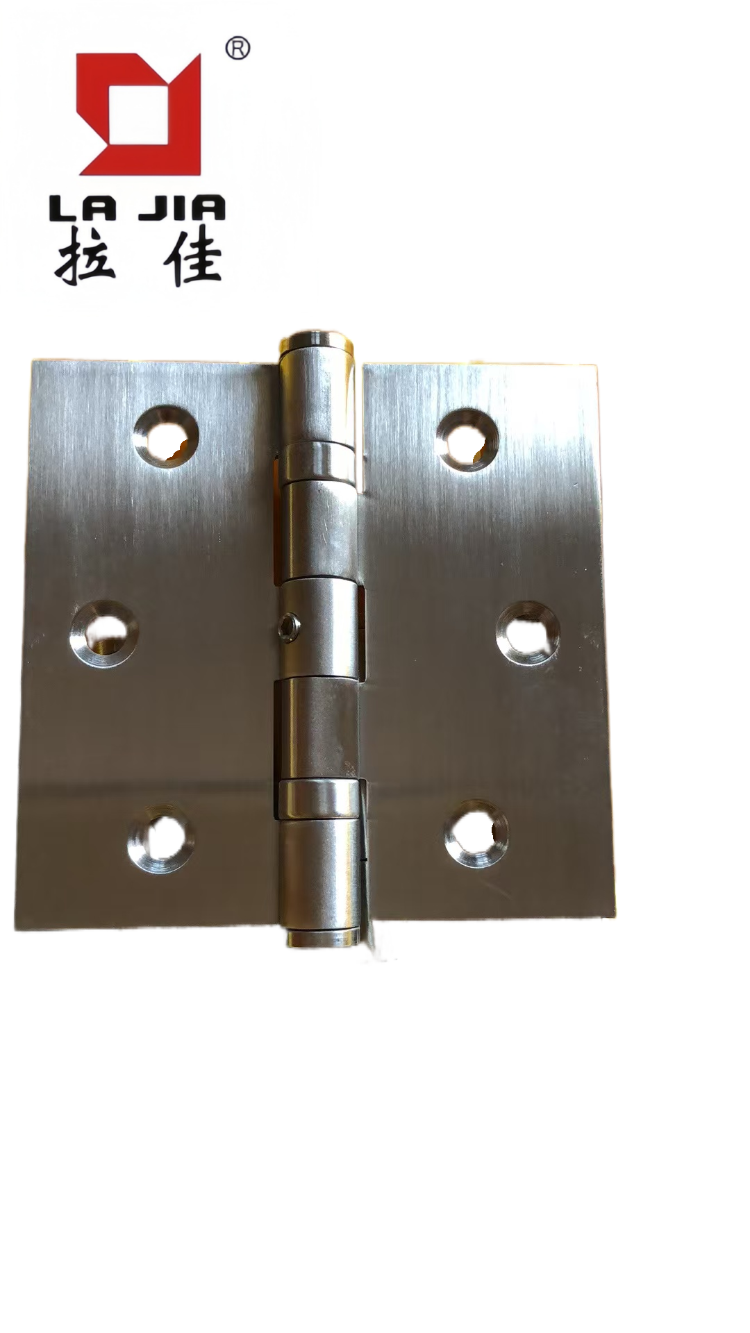 Brushed Silver Stainless Steel Hinge