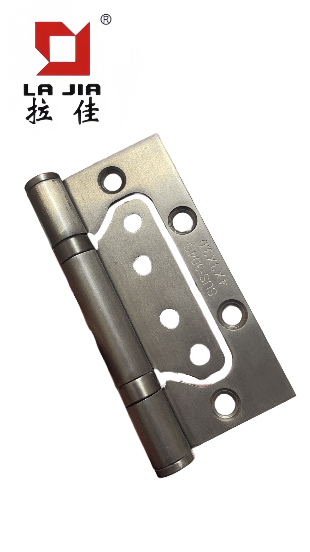 Stainless Steel Flush Door Hinges