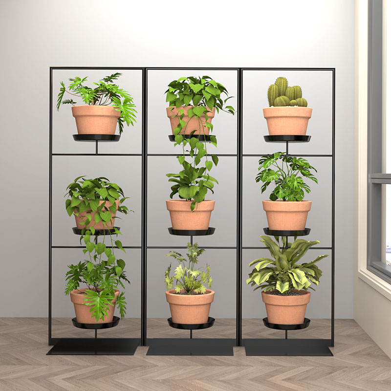Versatile and Stylish Plant Wall Rack