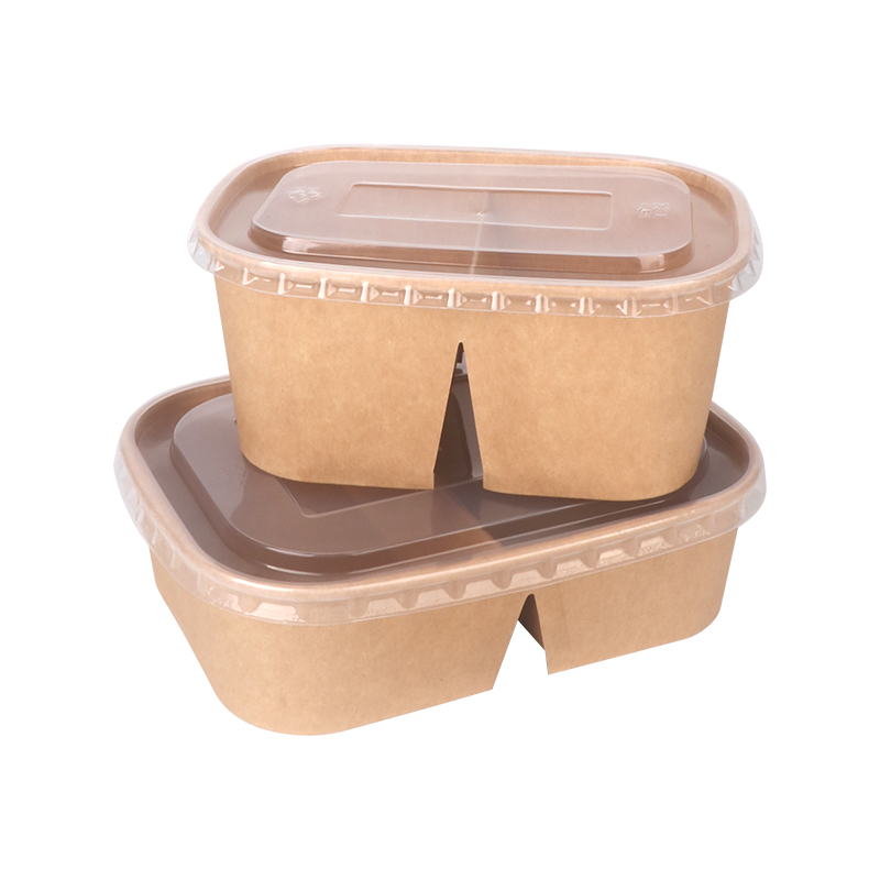 2-Compartment Rectangular Lunch Box