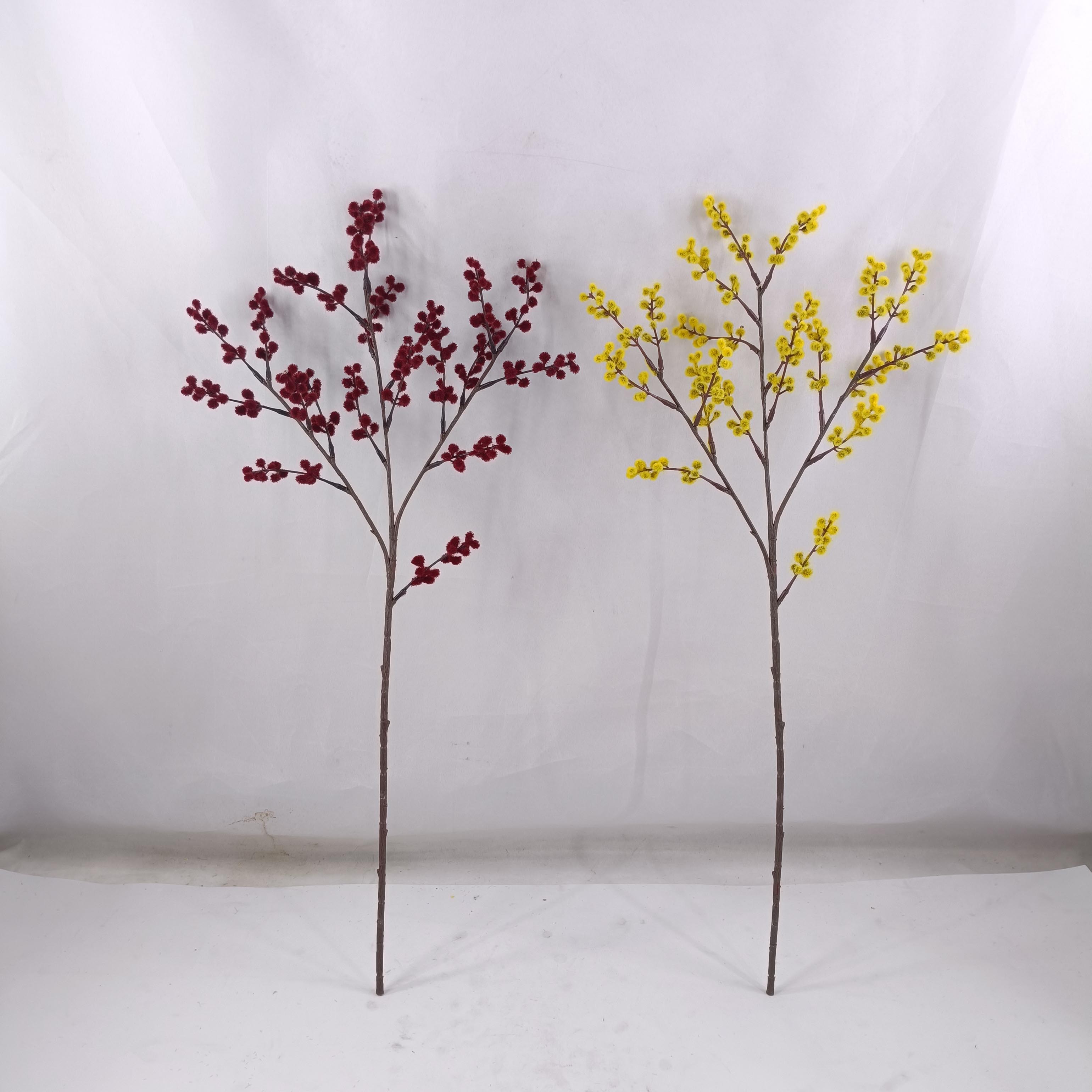 Albizia julibrissin - Simulated Flower