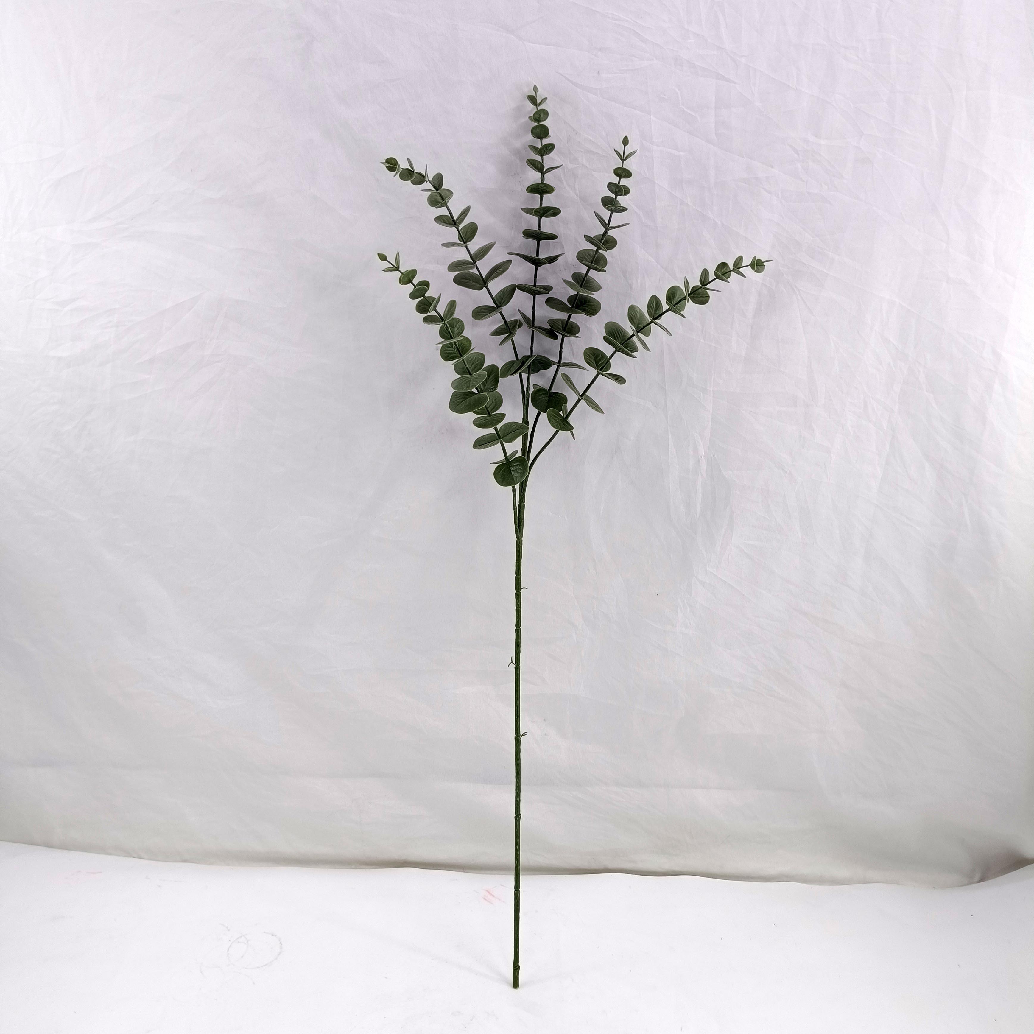 75CM tall single branch of money plant