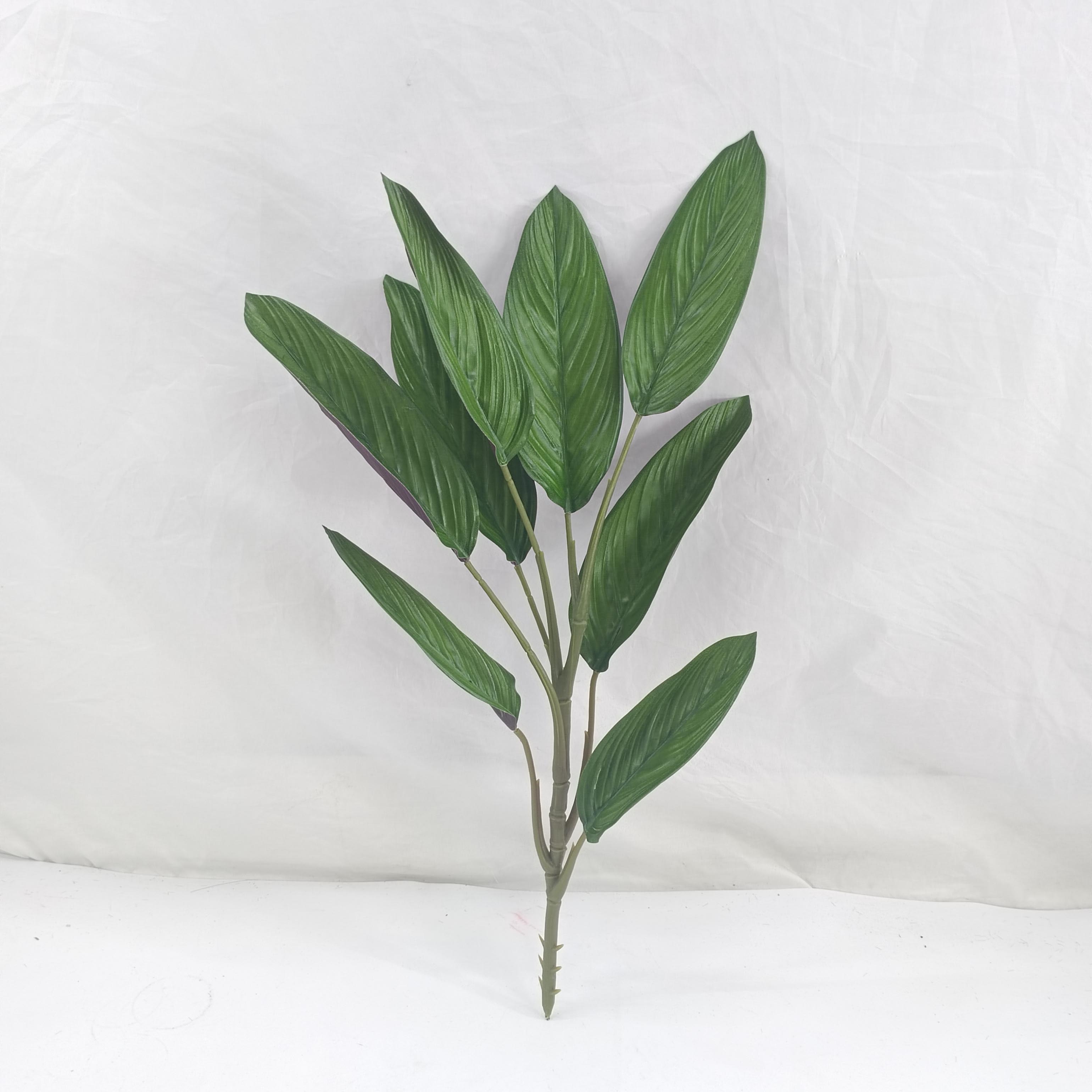 52CM tall wintergreen leaf peace lily