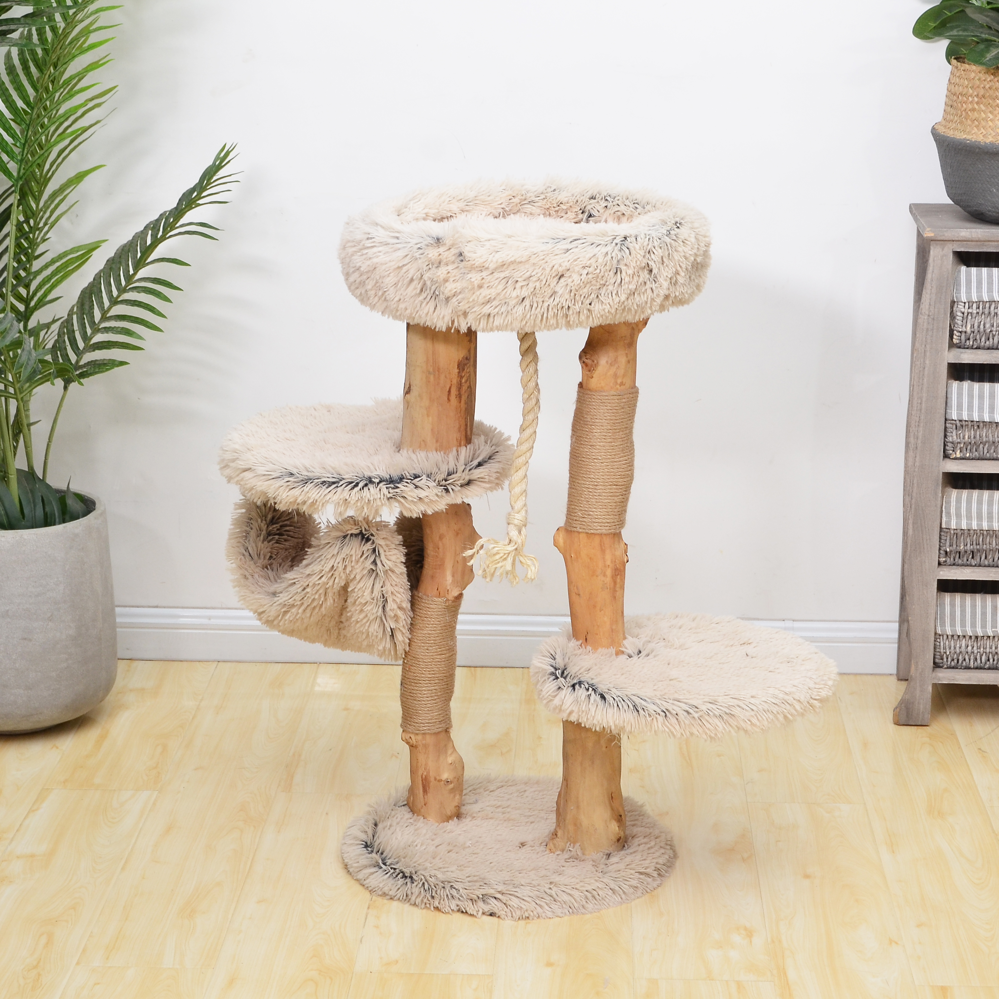 Cat scratching tree
