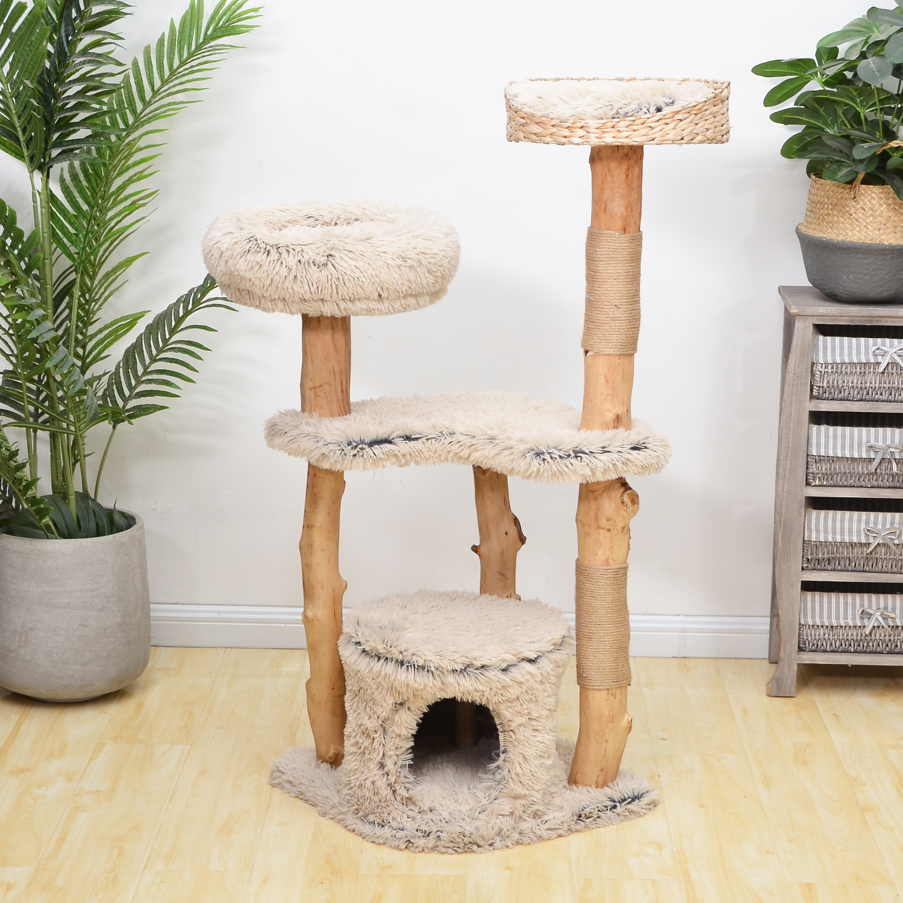 Cat scratching tree