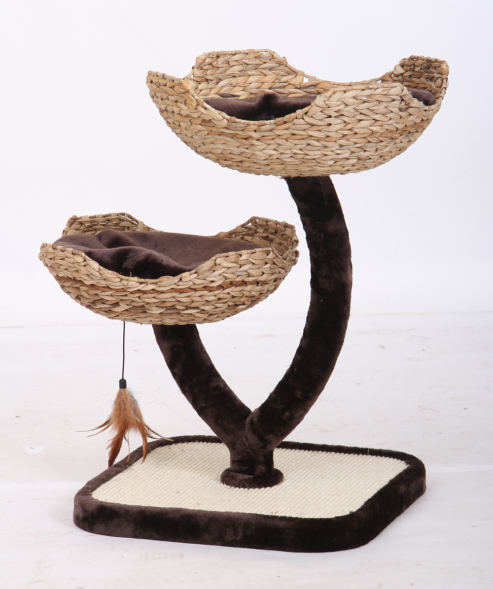 Cat scratching tree