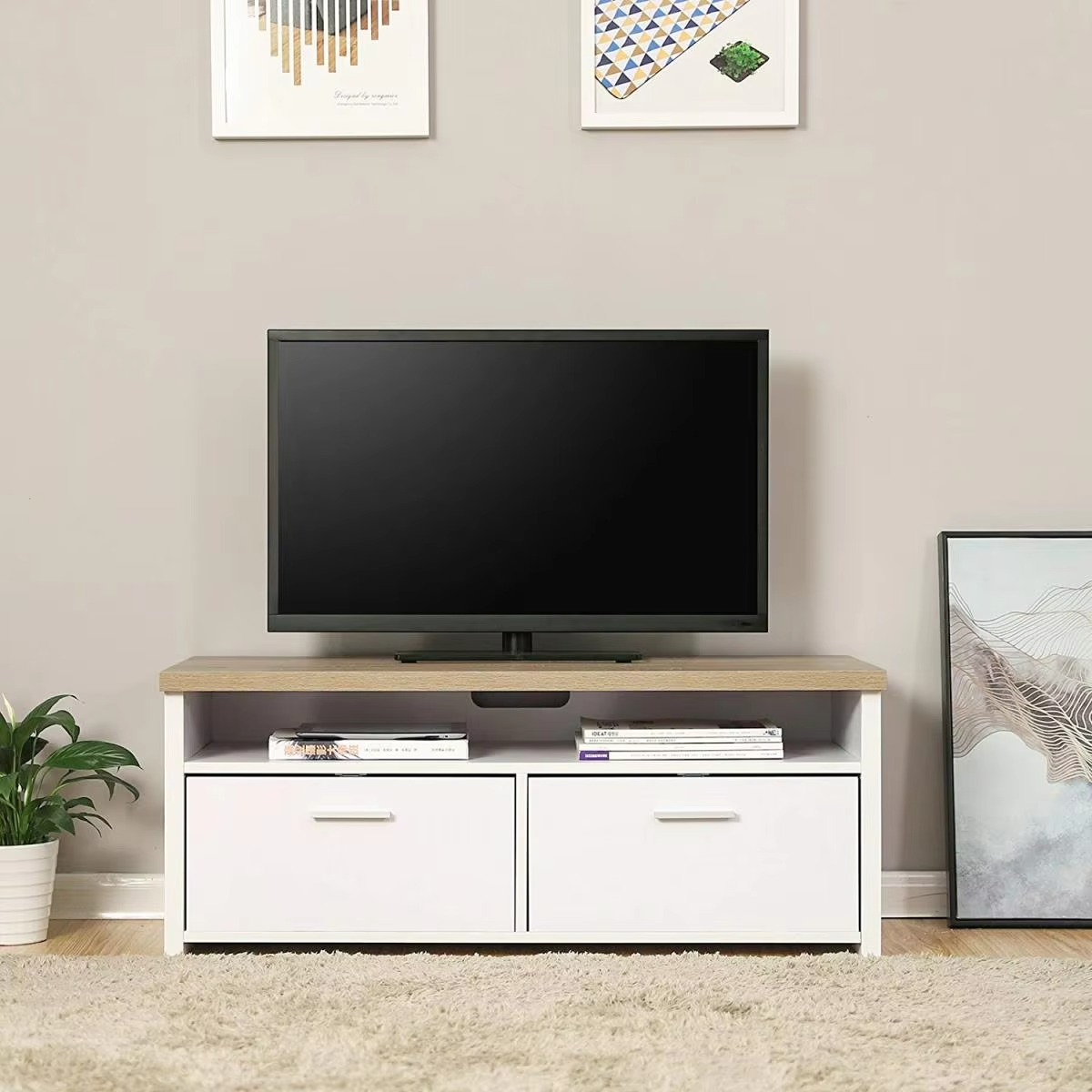 Wholesale Modern Cabinet for Living Room