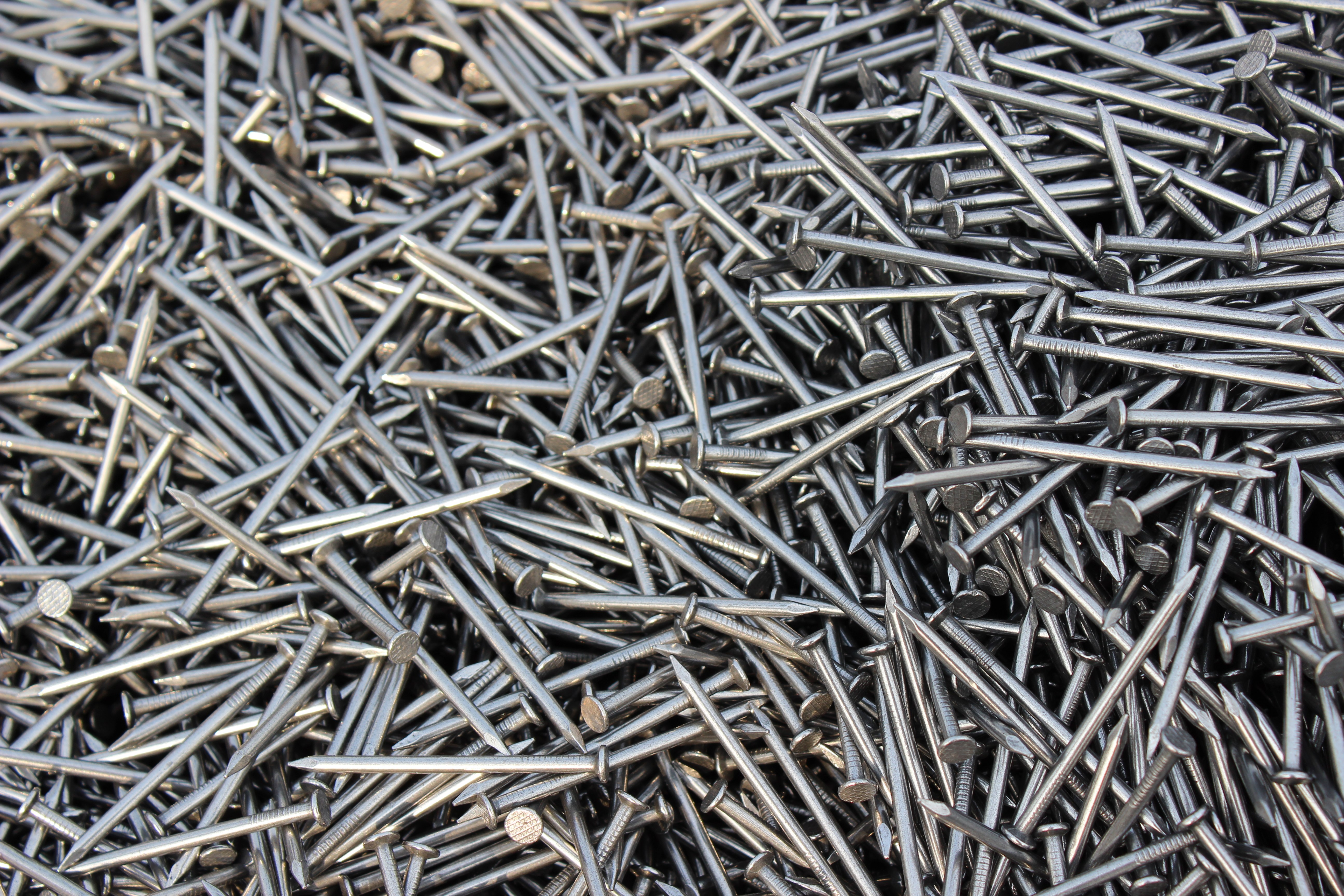 Common nail