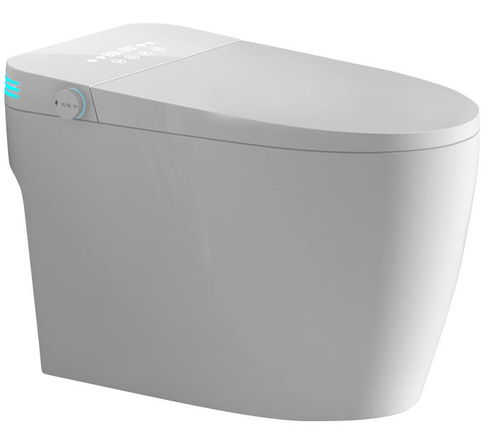 Smart Toilet