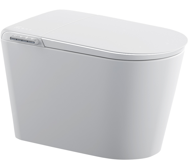 Smart Toilet
