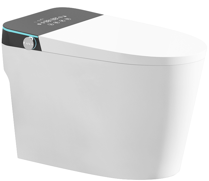 Smart Toilet