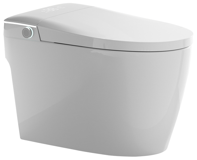 Smart Toilet