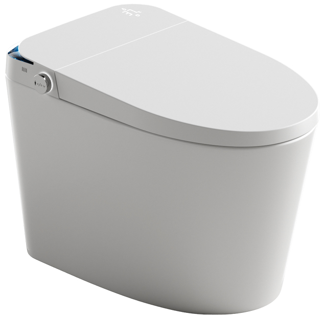 Smart Toilet