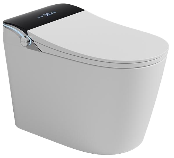 Smart Toilet