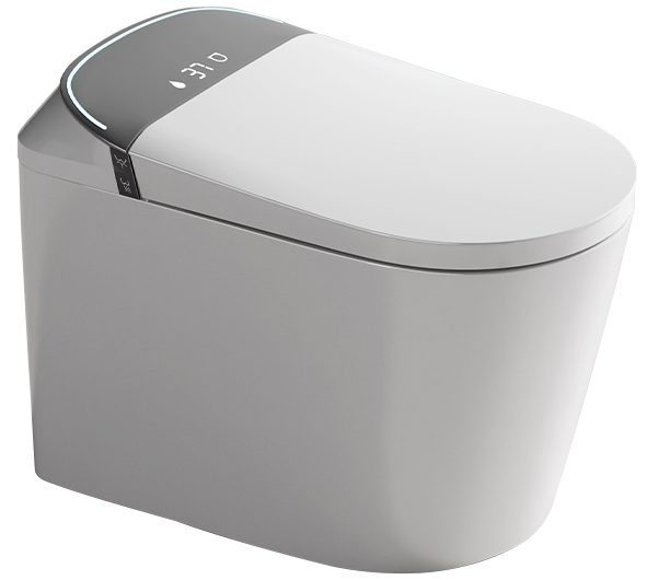 Smart Toilet