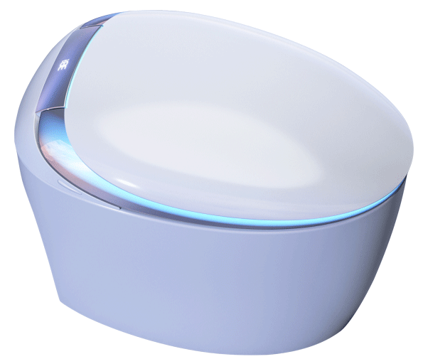 Smart Toilet