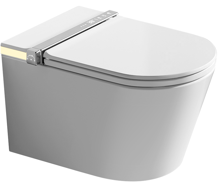 Smart Toilet