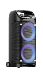 DX55
