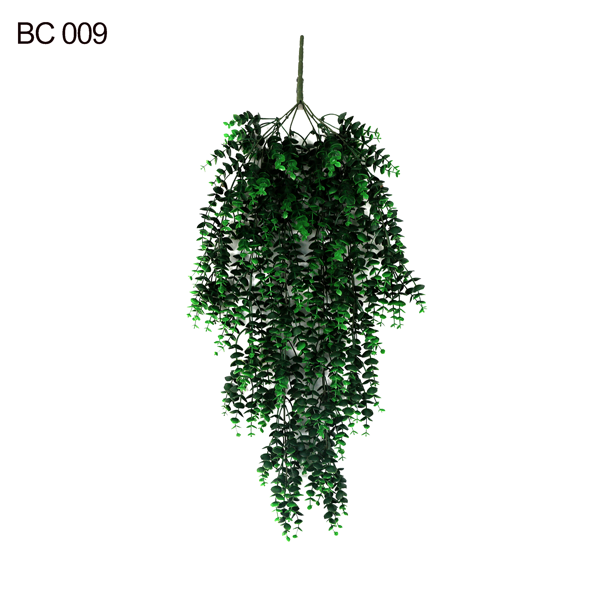 BC009