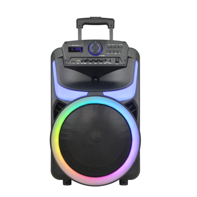CSN-1201 Speaker