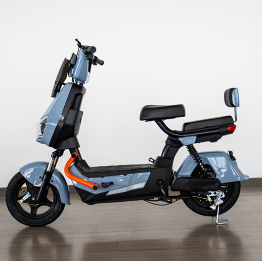 Electric bicycle