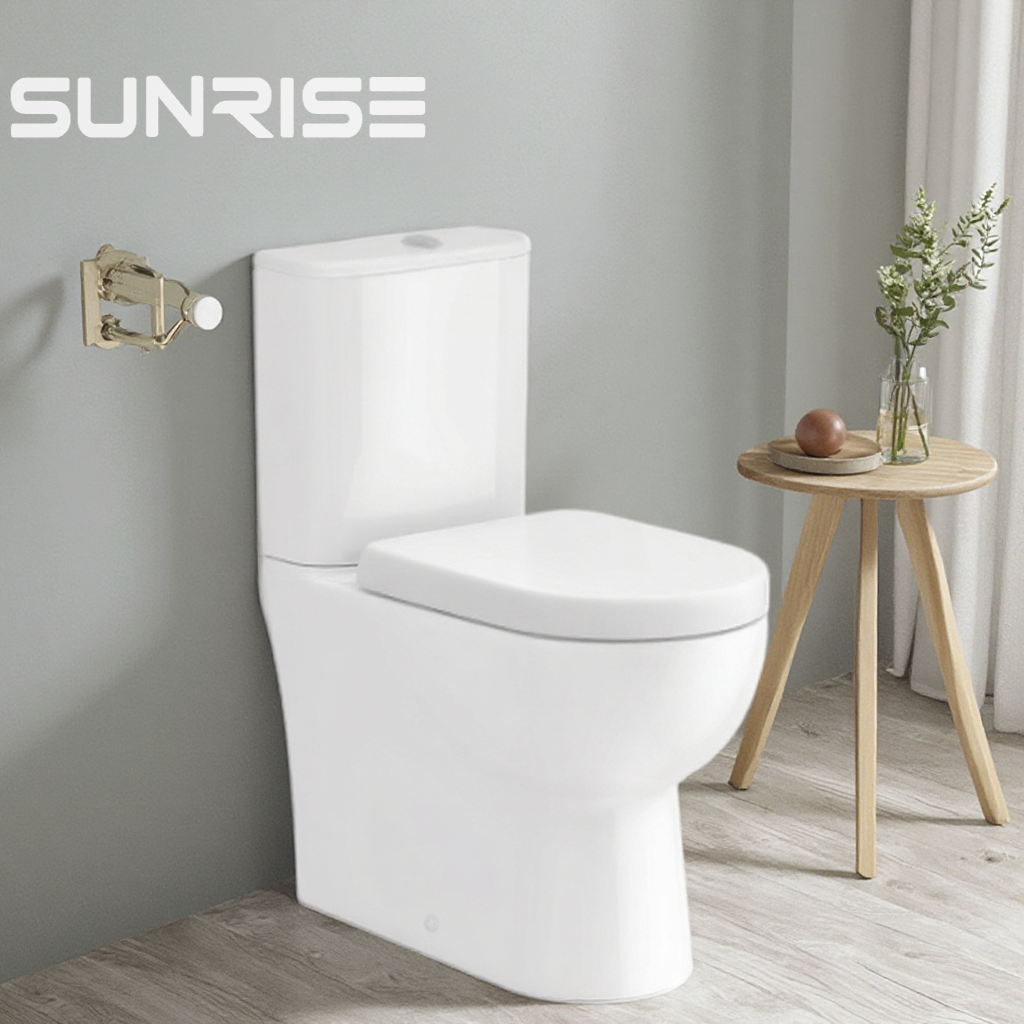 Vortex fully back to wall close coupled toilet