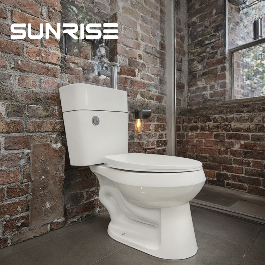 2 In 1 Toilet And Basin
