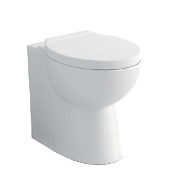 Concealed Toilet Cisterns rimless Floor standing BTW toilet Concealed Toilet Cisterns