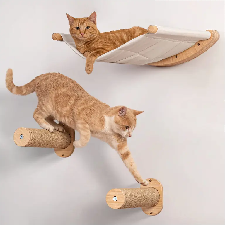 Cat Shelf
