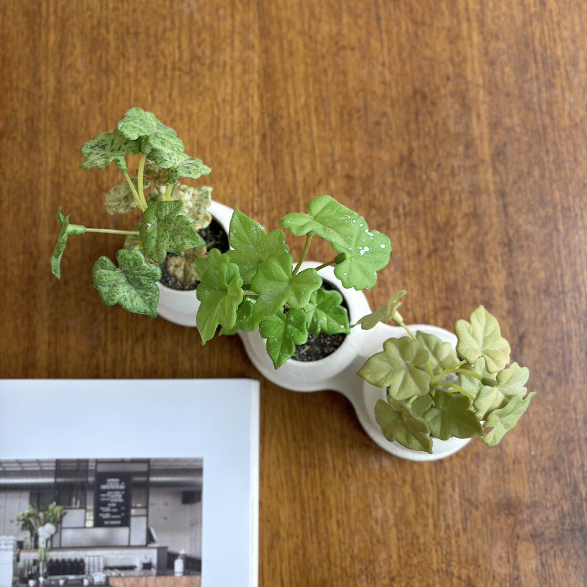 faux greenery