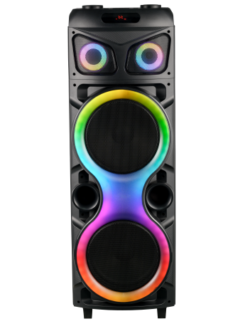 Dual 12inch Multi-functional High Power Party Bluetooth Tower WD12R
