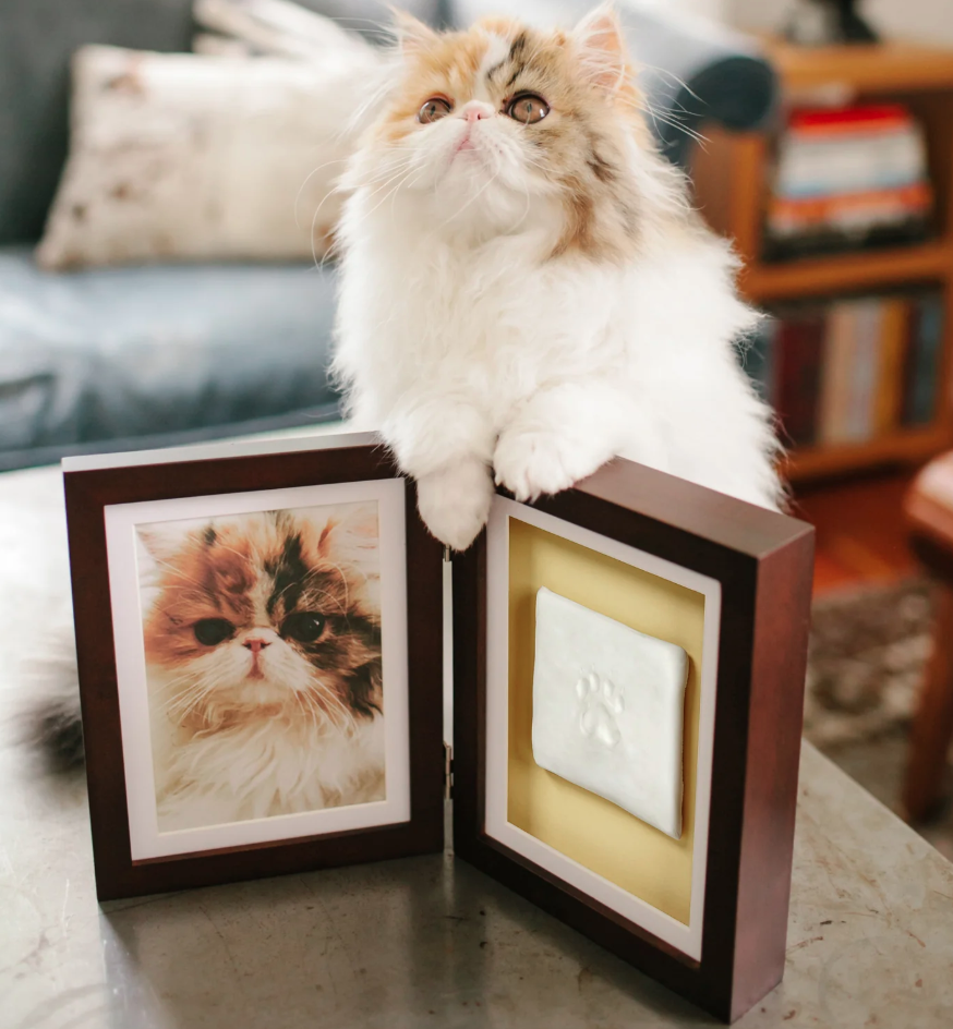 Memorial frame
