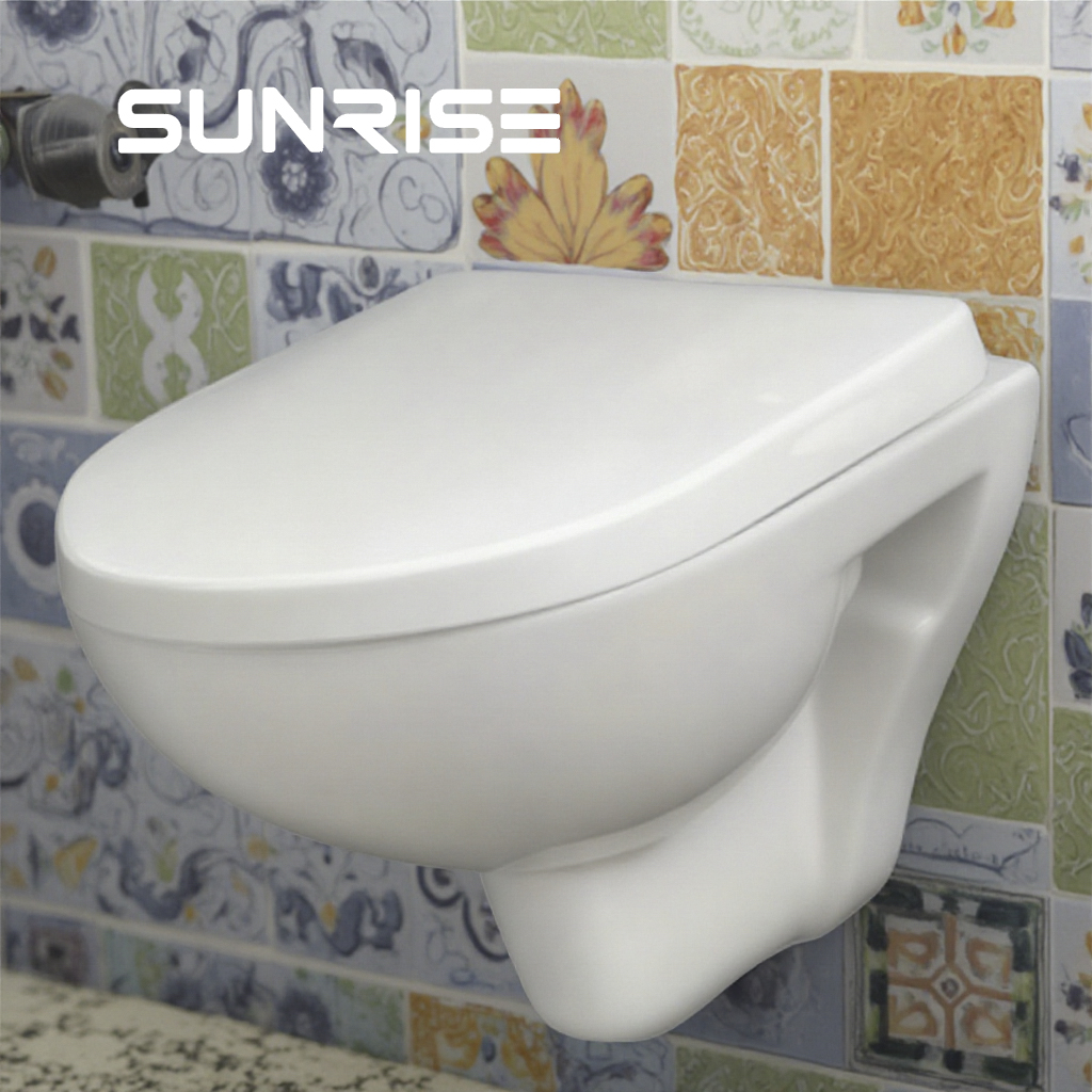 Rimless wall hung toilet