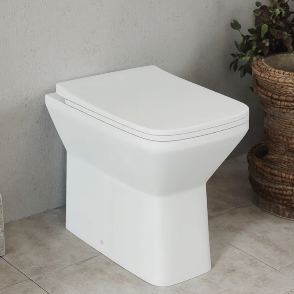 Back To Wall Toilet Pan