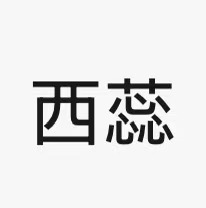 Haikou Xirui Technology Co., Ltd. – filtro de aire 1