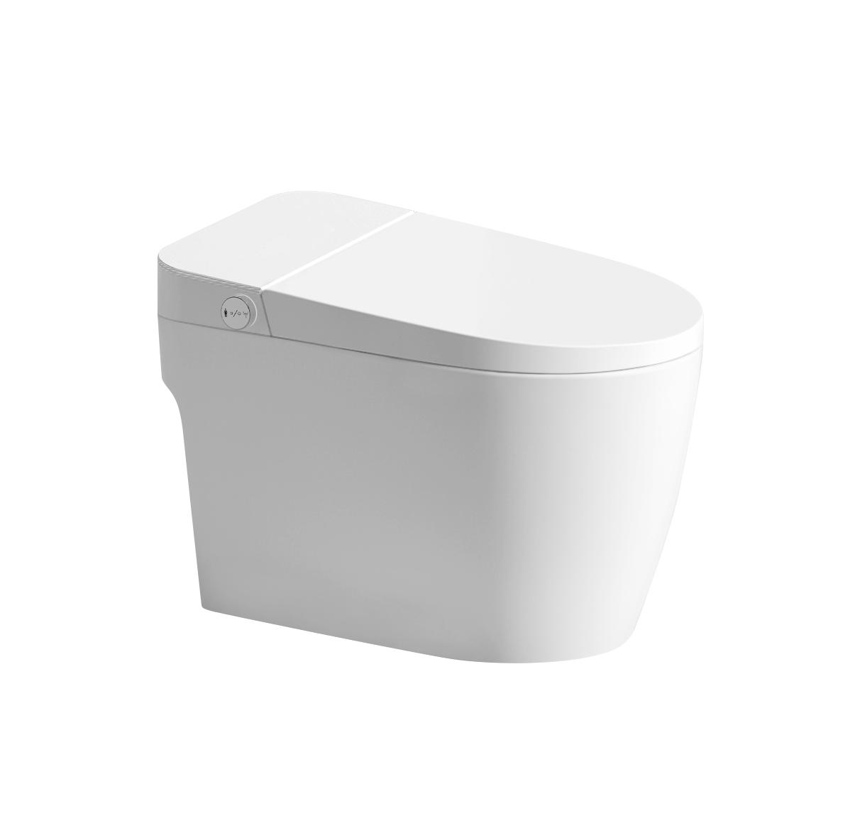 Romance non-electric intelligent/smart toilet