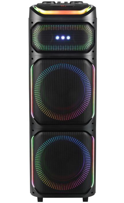 Dual 12inch Multi-functional High Power Party Bluetooth Tower WD12S