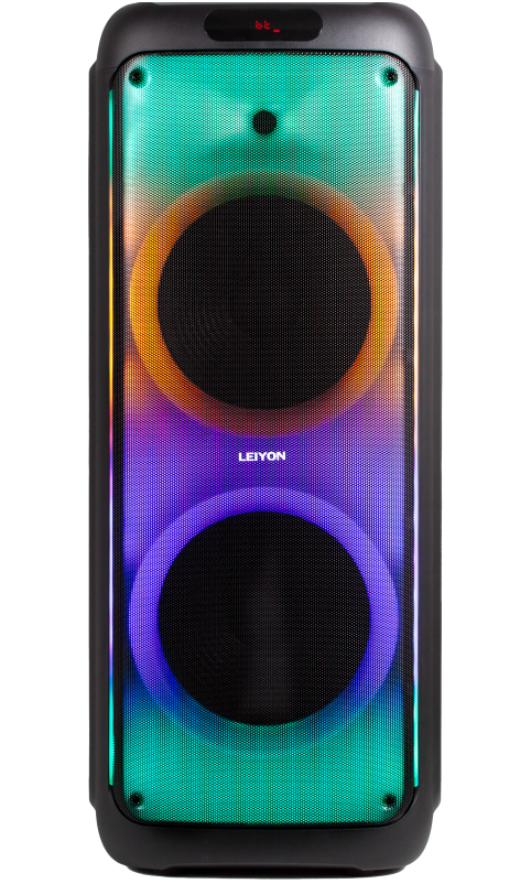 big power Double 12 inch Portable Bluetooth Speaker，outdoor speaker,party speaker，karaoke D12D