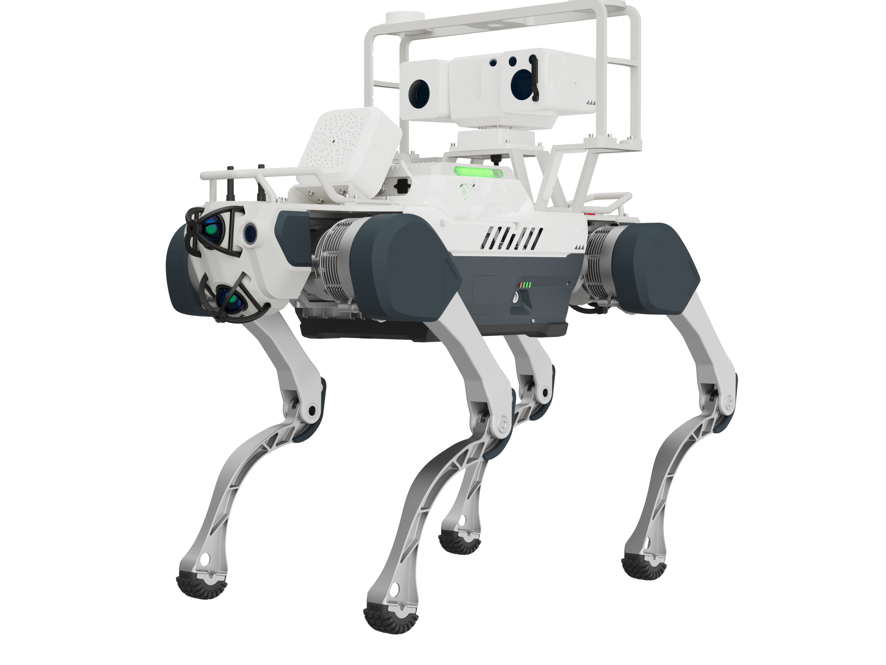 Quadruped Robot